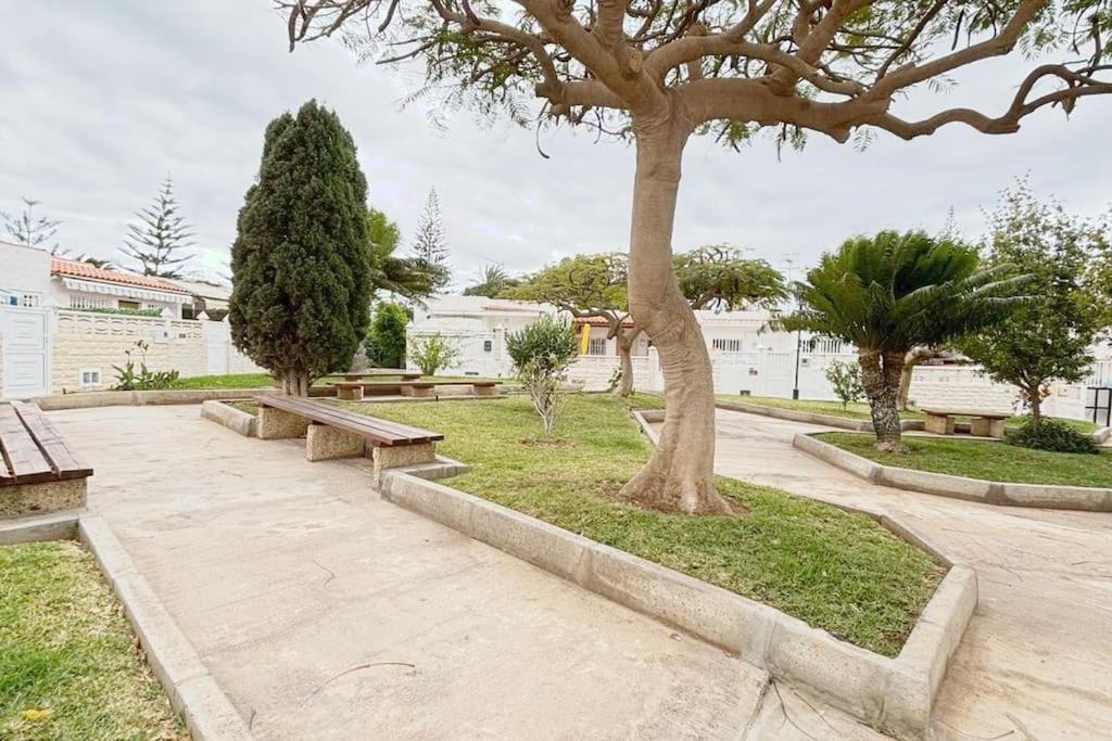 Apartment Calma & Mar Arona (Tenerife)